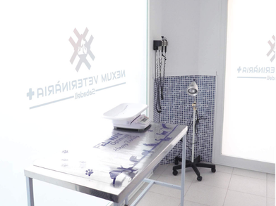 (LIDIA) DISEÑO LANDING PAGE EXUM (SABADELL) (17)