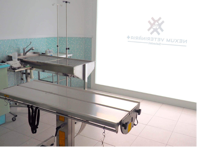 (LIDIA) DISEÑO LANDING PAGE EXUM (SABADELL) (18)