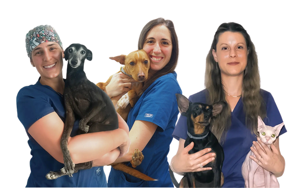 veterinarias